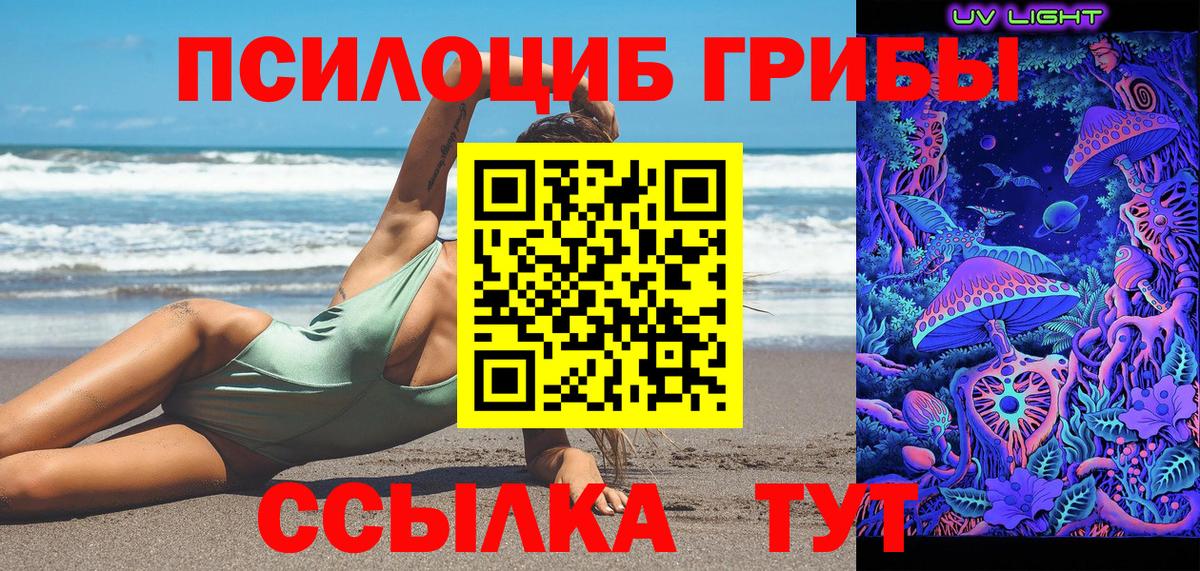 Галлюциногенные грибы Cubensis  Вход с VPN  Чебаркуль 